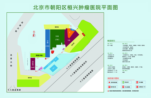 激情性爱小视频免费试看北京市朝阳区桓兴肿瘤医院平面图